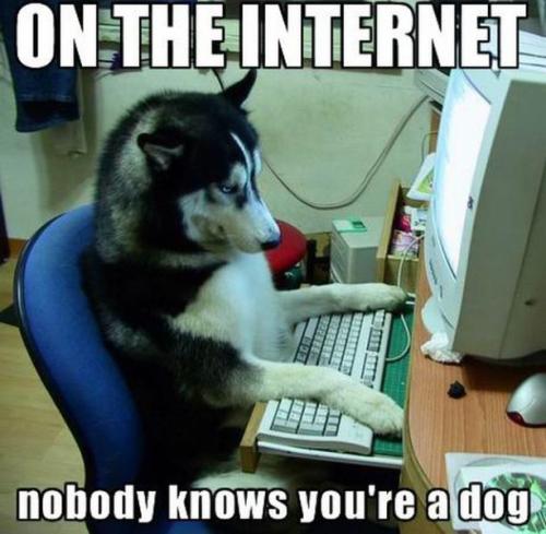 on_the_internet_nobody_knows_you_re_a_dog