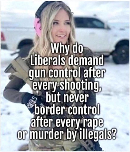 MURDER BY ILLEGALS