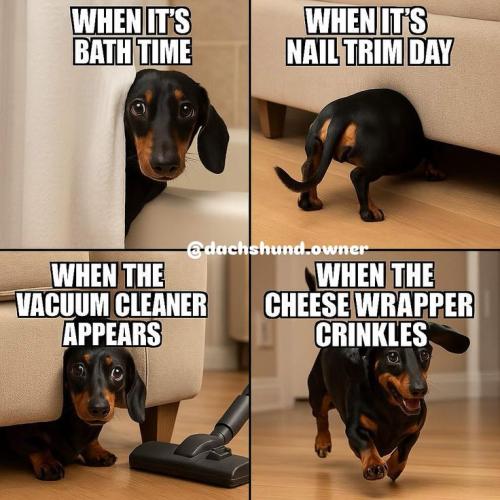 7b596dced889865de6e4f05369ec2898