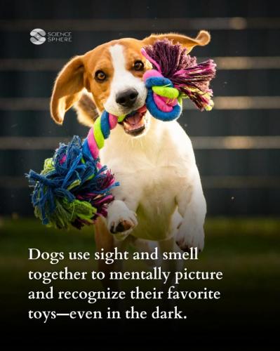 50ed3ceb-1df7-4575-8bad-03ff434896cd