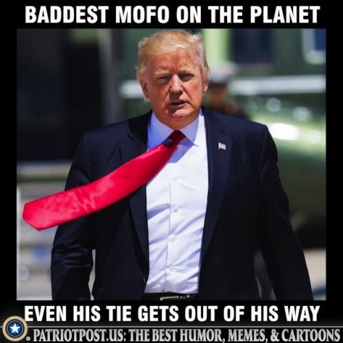 01K310WTPZAP674FKMXK3TGQ70