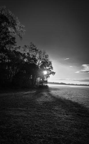 Screenshot_20250812_081500_Gallery