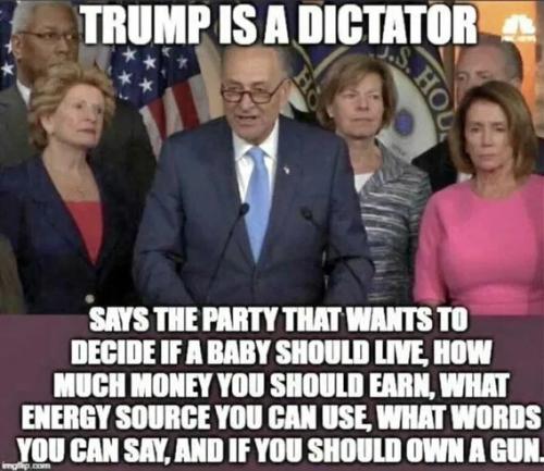TRUMP IS A DICTATOR 7