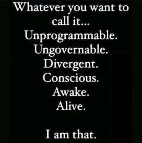528307210_1290998976066126_8524861081338787131_n