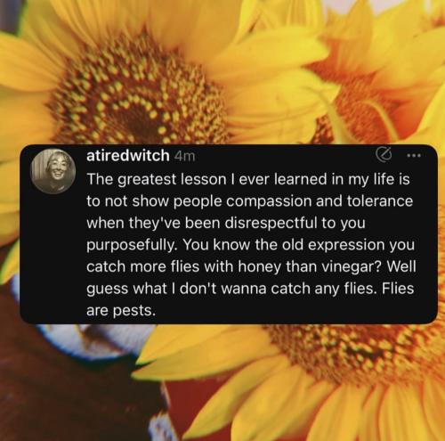 IMG_20250807_080245_762