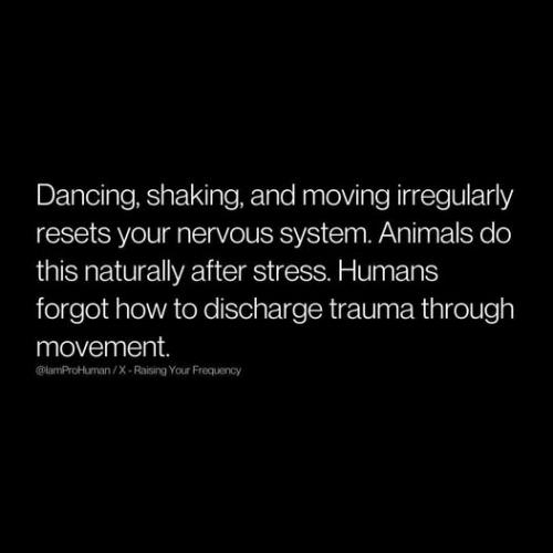 527097246_10172281080115344_1785160232826759623_n