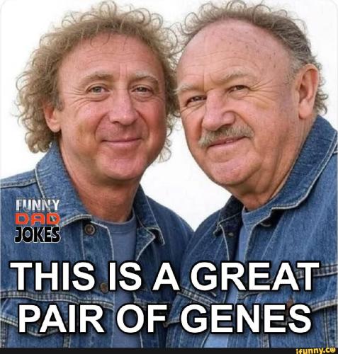 02cf2fc7d45a714ae9e8048435f89fd8caba14d1c9a4c5929a6e6f658661ebfd_1