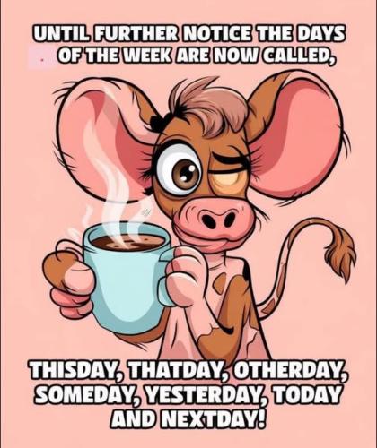 530644078_611518472031365_7029731633950657700_n