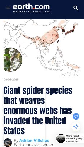 Screenshot_20250806_090111_Chrome(1)