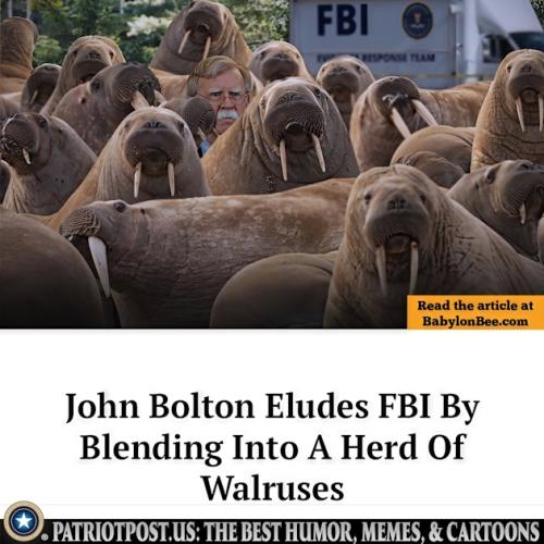 01K3HTWH3SCXVS89YJ727QQEMR