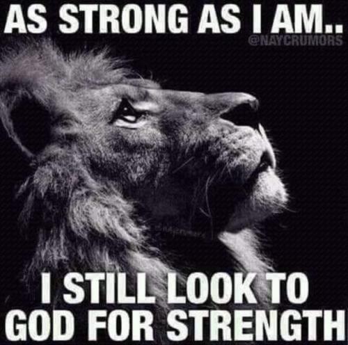 0f6aa7b94a8baa22cd9903c5f6d10273