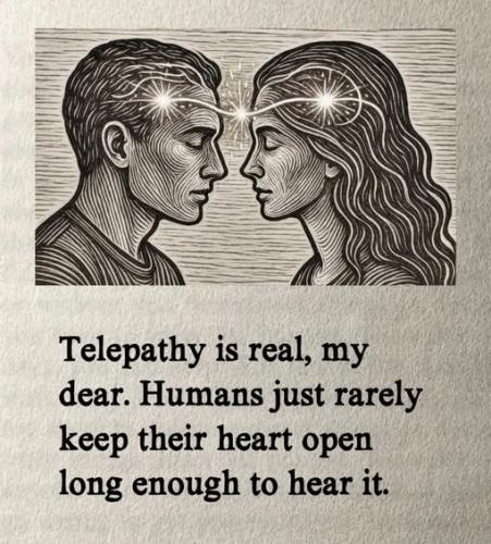 525131614_1279933450183576_38619280972014374_n