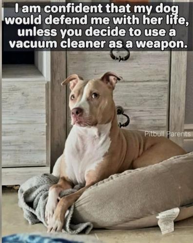 44a5f51e1f3deeb3136d4639fdd9ffb1