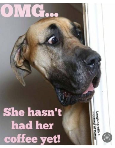 a996e7360f709f39d4c0ea95e02a2084