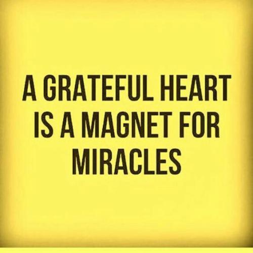 fc9d4963ff4f0ef5afdcb8257ee71434