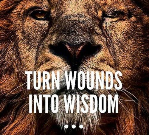 94b9817b85c43661581502dcefef0d1f