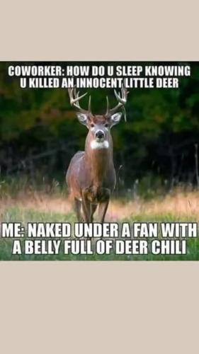 292fd8e2-3317-474b-bceb-7305053f9956