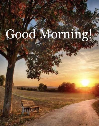 439860-Good-Morning-Sunrise