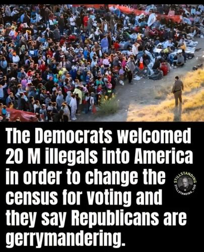 GERRYMANDERING ILLEGALS