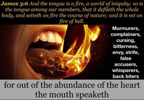 4e944d04-cb6e-4fab-bd39-fb749e3c6d36