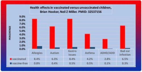 528739585_1329457599187410_302604932538803258_n