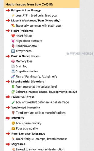 Screenshot 2025-08-11 105303