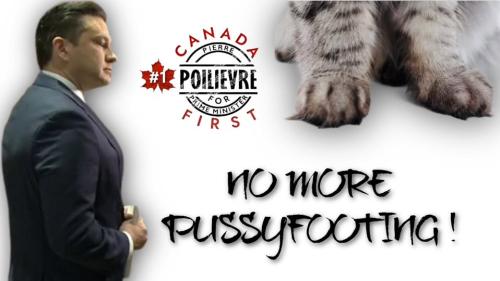 no more pussyfooting