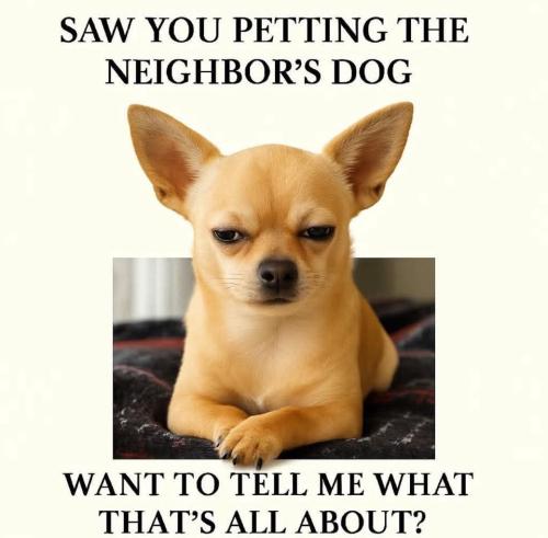 FB_IMG_1756499129322