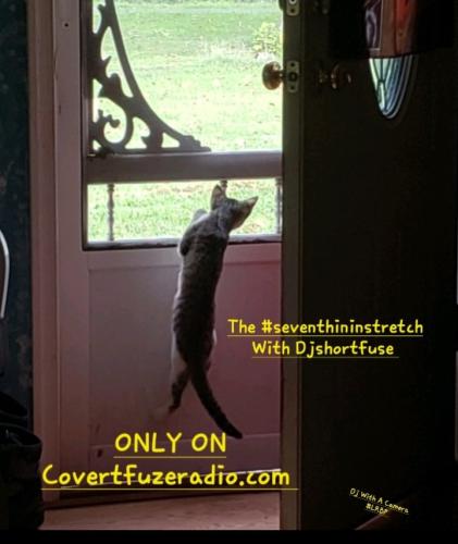 Screenshot_20250812_144753_Gallery