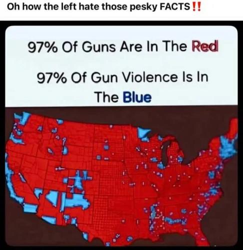 pesky-facts