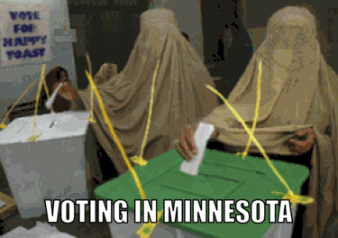 voting in minnesota