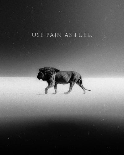 0e3427523fd84e873c6308637f5e771b