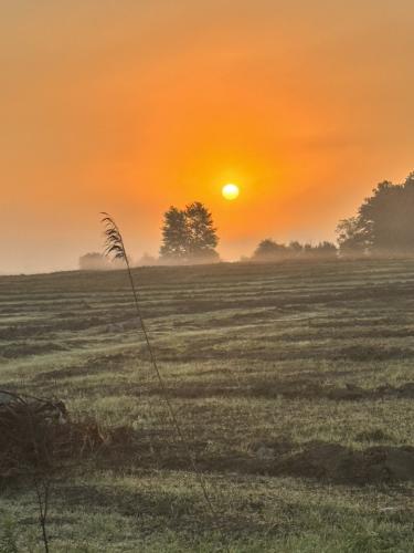 536272400_777102054709035_8687802710363846567_n