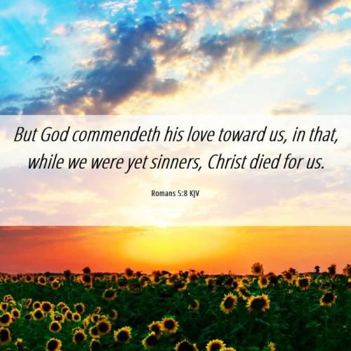 253f9e2d-a594-4812-a721-0ffd9bc18907