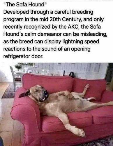 abfd805309a5573bba4e5237667a26a6