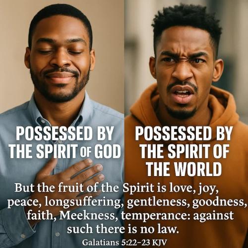 1824ca55-c42f-429b-9631-a17571a11e78