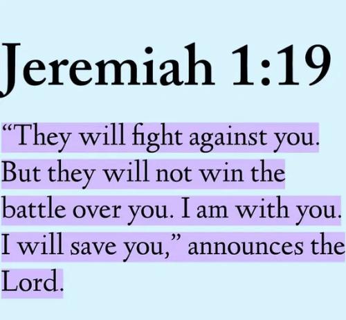 they-will-fight-not-win