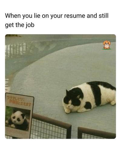 FB_IMG_1756130694782