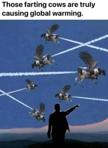 farting cows
