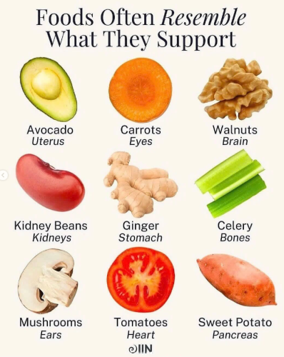 Screenshot 2025-07-23 123105