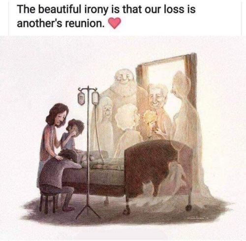 FB_IMG_1560910230590