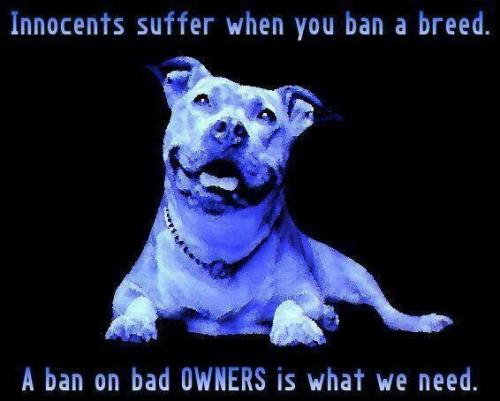 a0d8ed59dd2e28ac60ed8a0bf7e09d85