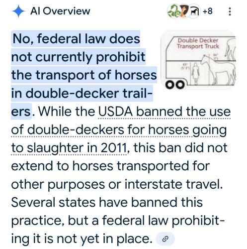 Screenshot_20250809_114932_Google(1)