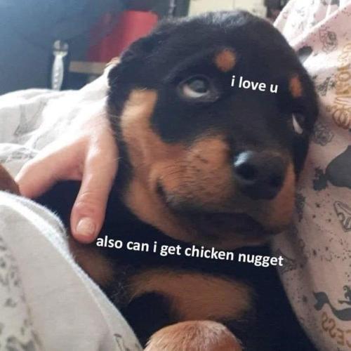 love-u-also-can-get-chicken-nugget-223