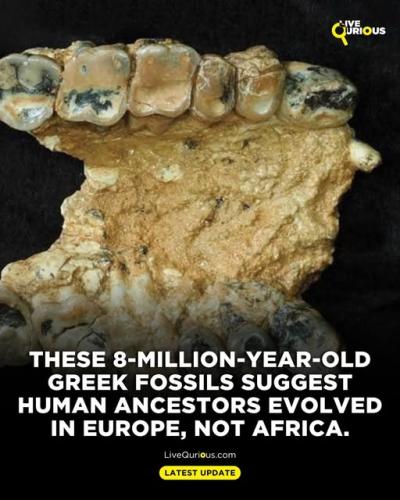 536276853_1246487207491653_6713830638064632609_n