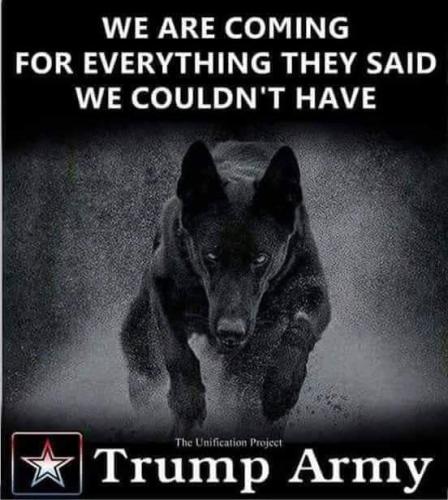 FB_IMG_1560874834605