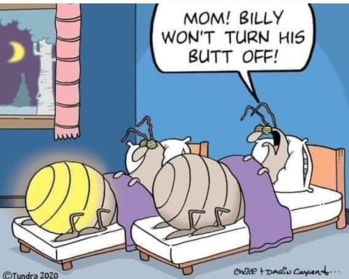 Screenshot_20250803_063112_Gallery