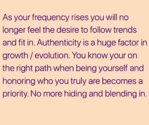 538299533_779872071595654_7426293122163446657_n