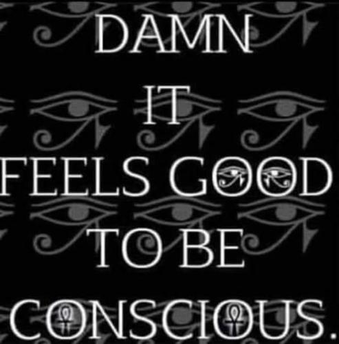 540508465_784579201124941_3583544118591544221_n