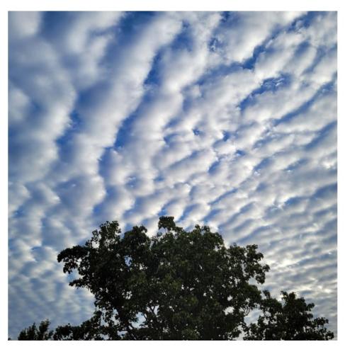 7680724e-a982-4630-8b33-f52bc4f88b76